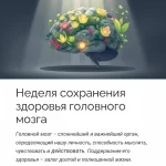 Неделя сохранения здоровья головного мозга